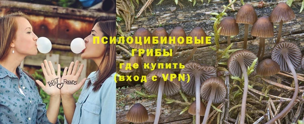эйфоретик Бронницы