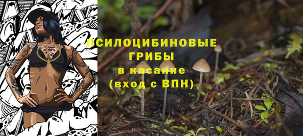 первитин Беломорск