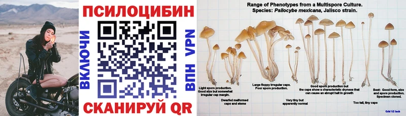 Псилоцибиновые грибы мухоморы  что такое   Кинель 